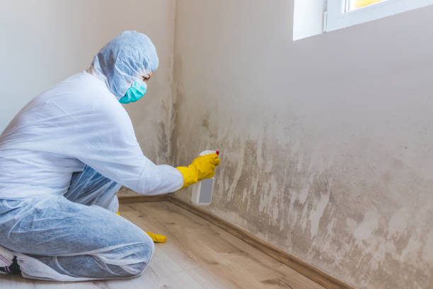 Commercial Mold Remediation assessment for commercial property in Harwood
